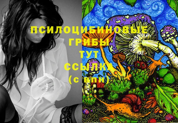 ECSTASY Балабаново