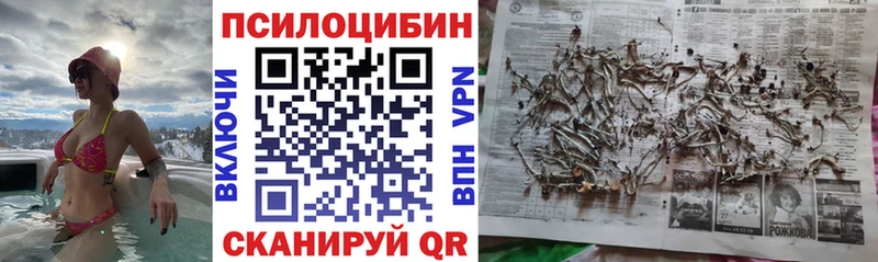 omg ссылка  Энем  Галлюциногенные грибы прущие грибы 
